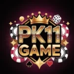 PK11 Game