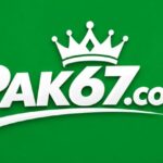 pak67 Game