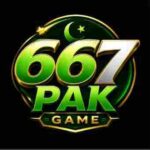 667PAK Game